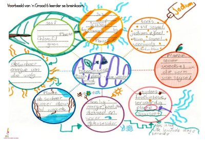 Studie Ster Studie Metode Boek: Graad 4 - 9 - Image 5